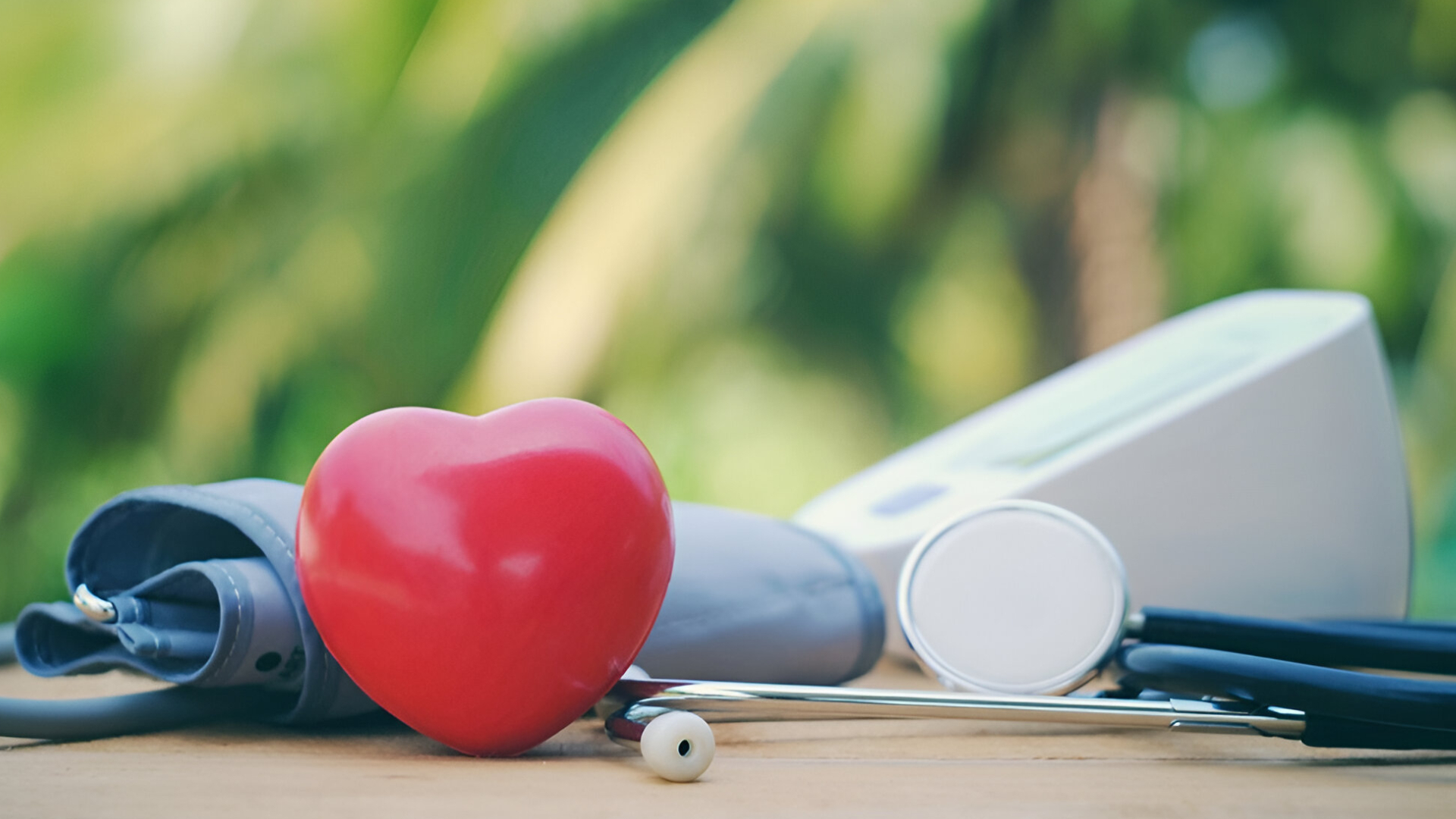 Wellness Care